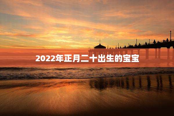 2022年正月二十出生的宝宝