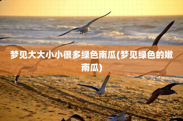 梦见大大小小很多绿色南瓜(梦见绿色的嫩南瓜)
