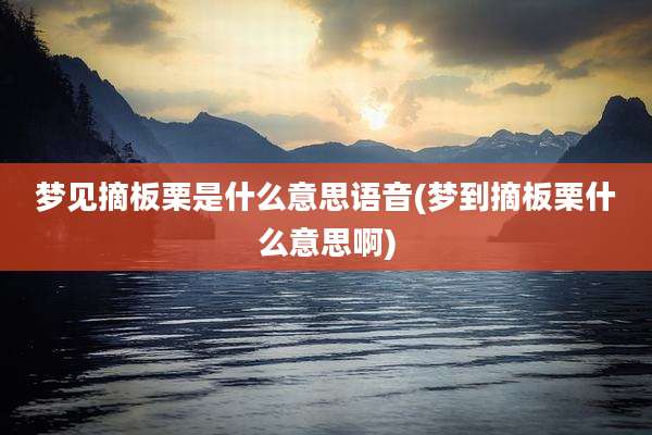 梦见摘板栗是什么意思语音(梦到摘板栗什么意思啊)