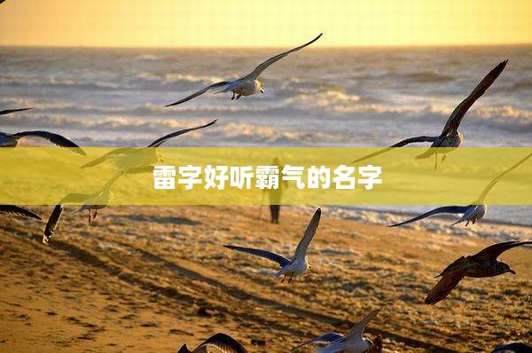 雷字好听霸气的名字