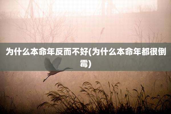 为什么本命年反而不好(为什么本命年都很倒霉)
