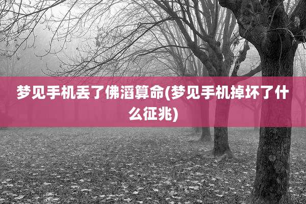 梦见手机丢了佛滔算命(梦见手机掉坏了什么征兆)