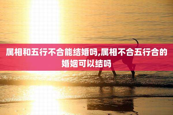 属相和五行不合能结婚吗,属相不合五行合的婚姻可以结吗