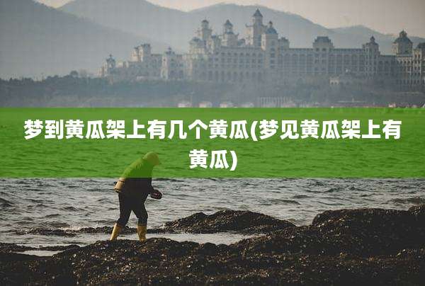 梦到黄瓜架上有几个黄瓜(梦见黄瓜架上有黄瓜)