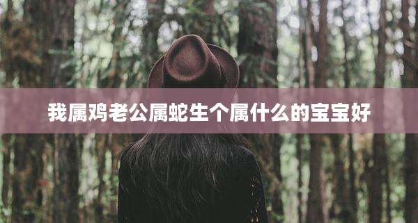 我属鸡老公属蛇生个属什么的宝宝好