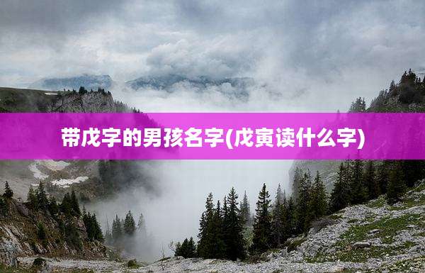 带戊字的男孩名字(戊寅读什么字)