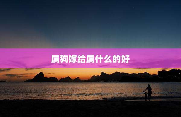 属狗嫁给属什么的好