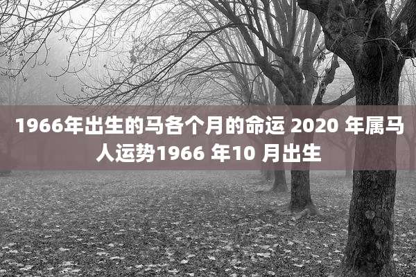 1966年出生的马各个月的命运 2020 年属马人运势1966 年10 月出生