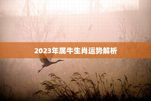 2023年属牛生肖运势解析