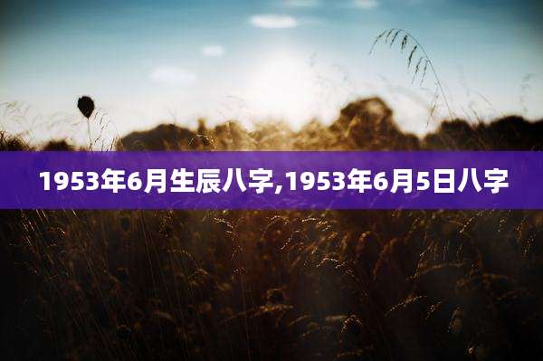 1953年6月生辰八字,1953年6月5日八字
