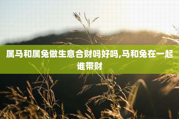 属马和属兔做生意合财吗好吗,马和兔在一起谁带财