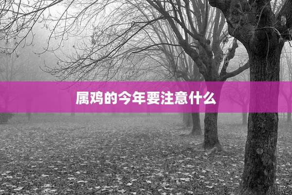 属鸡的今年要注意什么