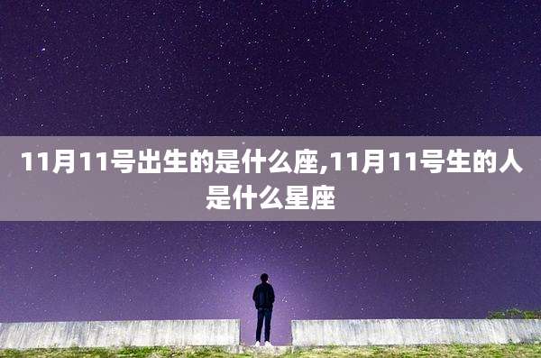 11月11号出生的是什么座,11月11号生的人是什么星座