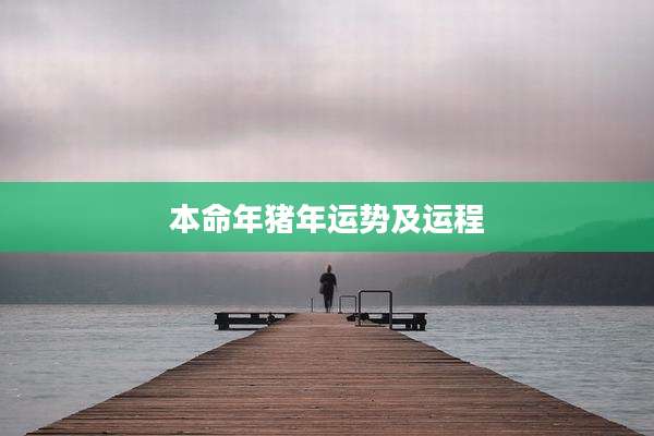 本命年猪年运势及运程