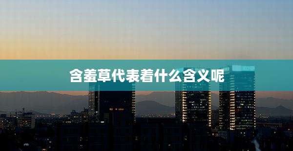 含羞草代表着什么含义呢