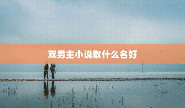 双男主小说取什么名好