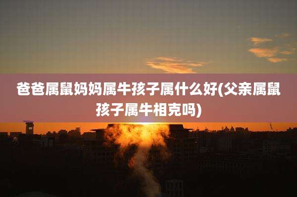 爸爸属鼠妈妈属牛孩子属什么好(父亲属鼠孩子属牛相克吗)
