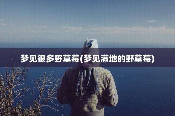 梦见很多野草莓(梦见满地的野草莓)