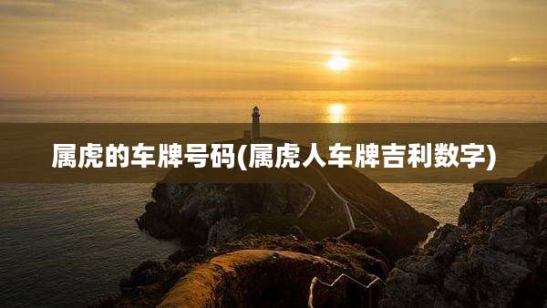 属虎的车牌号码(属虎人车牌吉利数字)