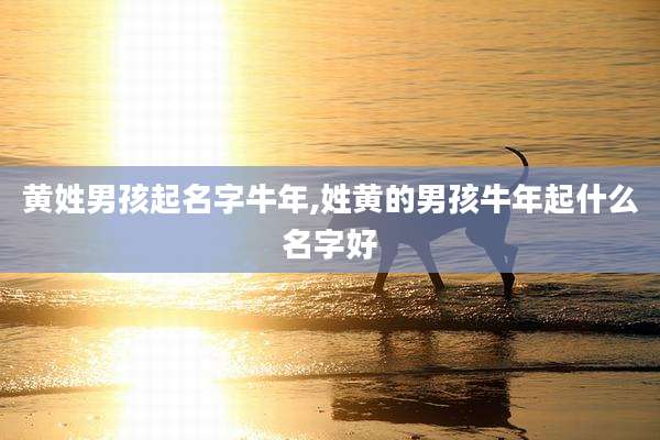 黄姓男孩起名字牛年,姓黄的男孩牛年起什么名字好