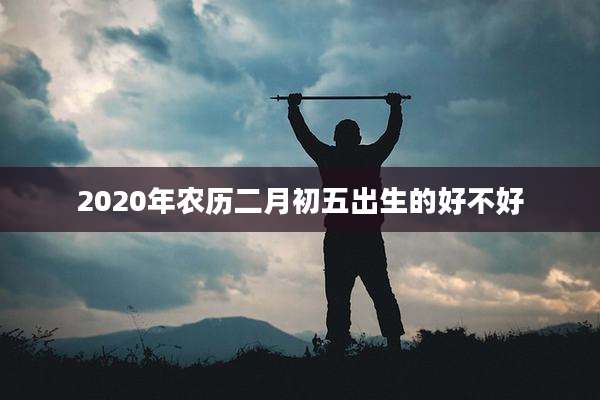 2020年农历二月初五出生的好不好