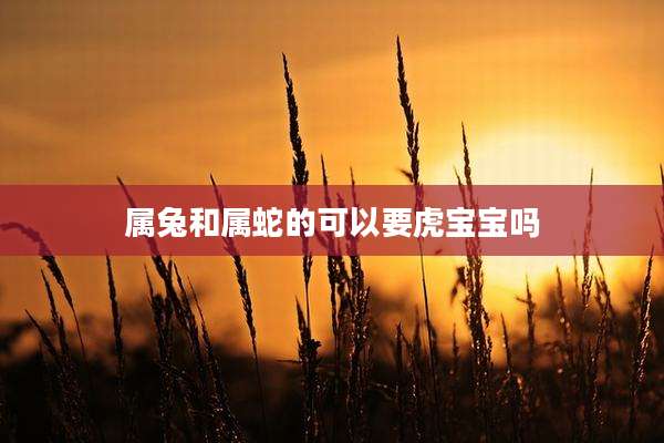属兔和属蛇的可以要虎宝宝吗