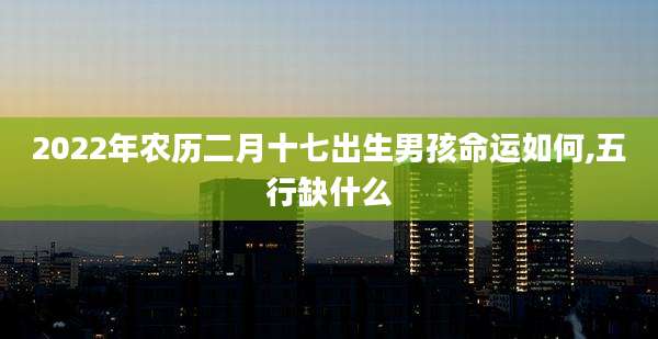 2022年农历二月十七出生男孩命运如何,五行缺什么