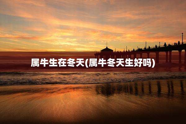 属牛生在冬天(属牛冬天生好吗)