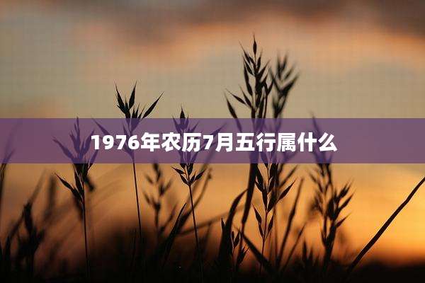1976年农历7月五行属什么
