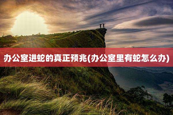 办公室进蛇的真正预兆(办公室里有蛇怎么办)