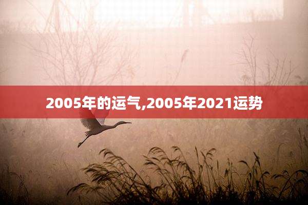 2005年的运气,2005年2021运势
