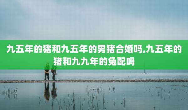九五年的猪和九五年的男猪合婚吗,九五年的猪和九九年的兔配吗
