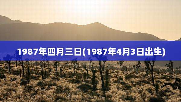 1987年四月三日(1987年4月3日出生)