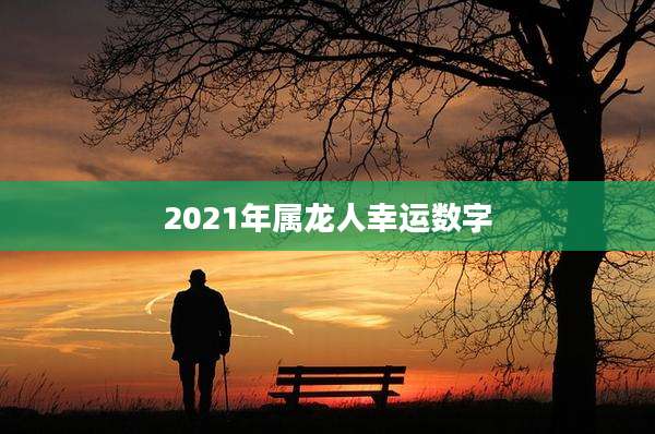 2021年属龙人幸运数字
