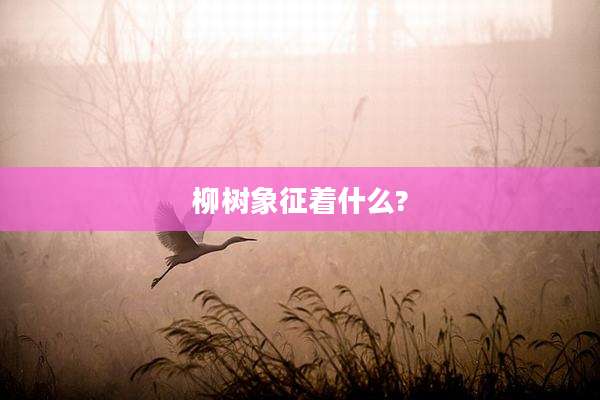 柳树象征着什么?