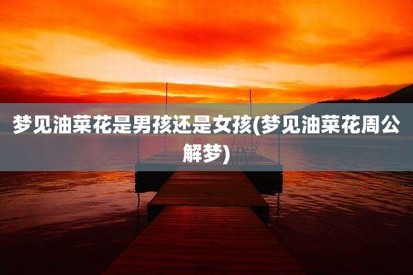 梦见油菜花是男孩还是女孩(梦见油菜花周公解梦)