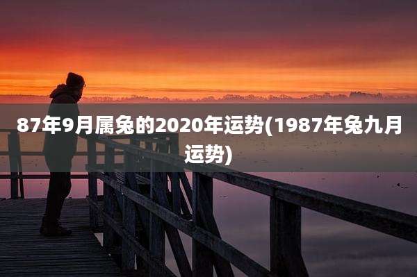 87年9月属兔的2020年运势(1987年兔九月运势)