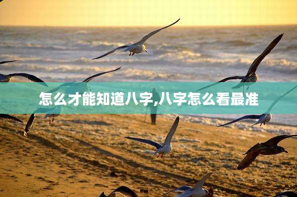 怎么才能知道八字,八字怎么看最准
