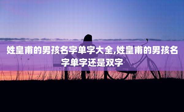 姓皇甫的男孩名字单字大全,姓皇甫的男孩名字单字还是双字