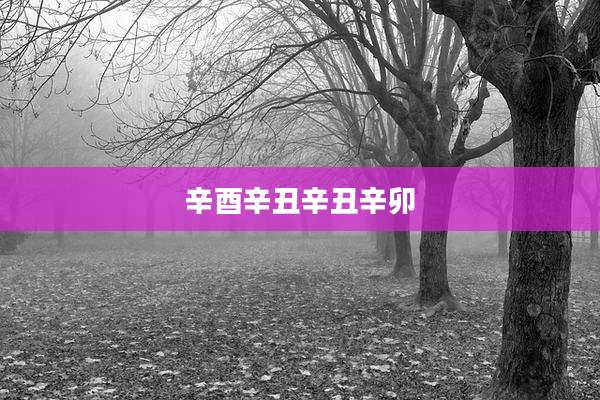 辛酉辛丑辛丑辛卯