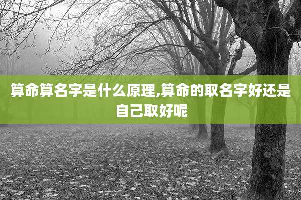 算命算名字是什么原理,算命的取名字好还是自己取好呢