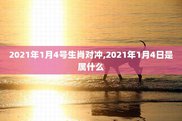 2021年1月4号生肖对冲,2021年1月4日是属什么