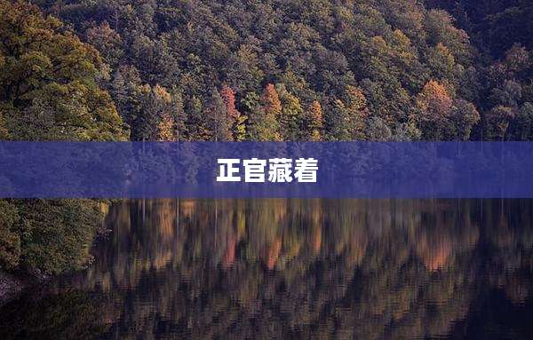 正官藏着