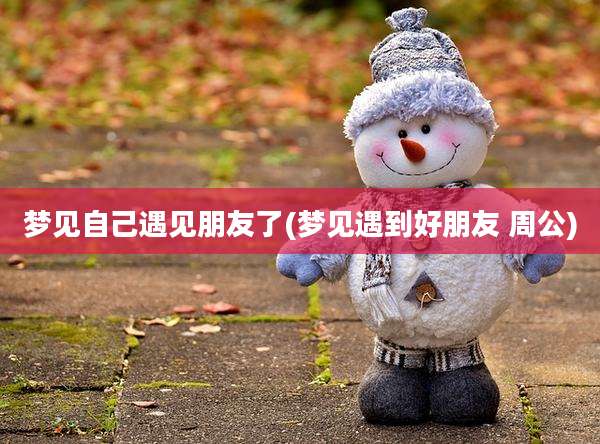 梦见自己遇见朋友了(梦见遇到好朋友 周公)