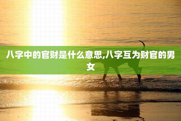 八字中的官财是什么意思,八字互为财官的男女