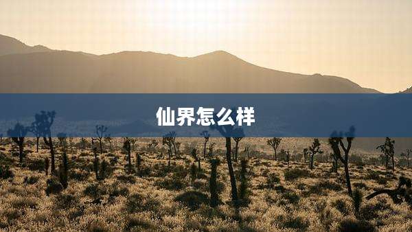 仙界怎么样