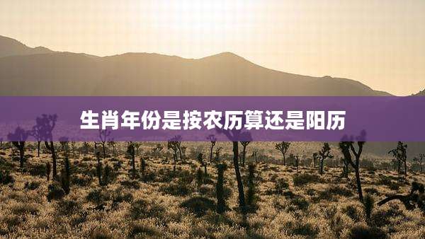 生肖年份是按农历算还是阳历