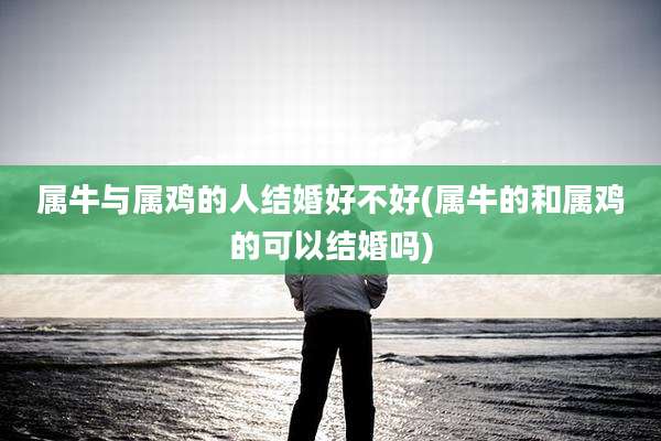 属牛与属鸡的人结婚好不好(属牛的和属鸡的可以结婚吗)