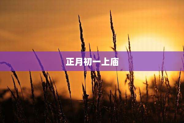 正月初一上庙