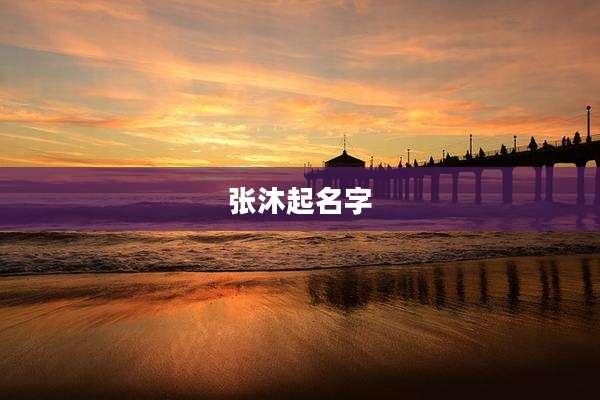 张沐起名字